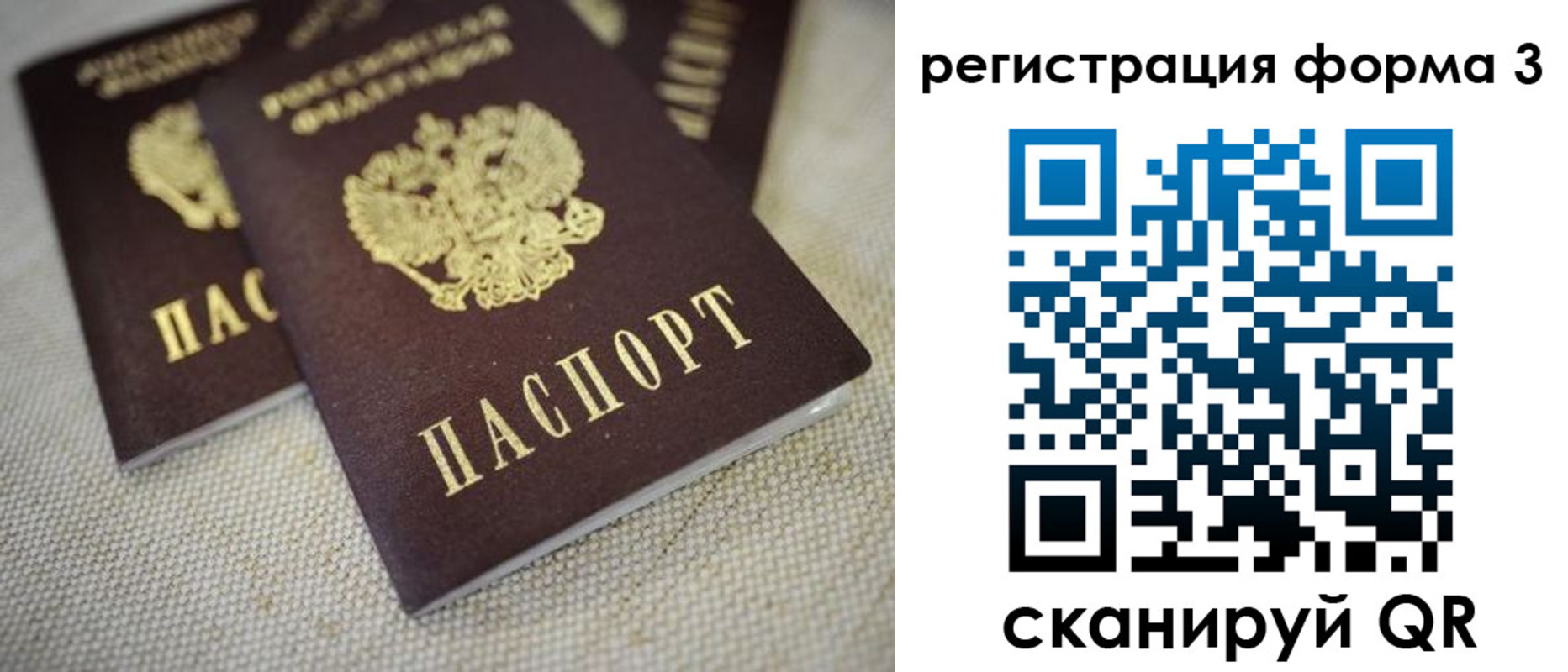 прописка законно в Сольцах